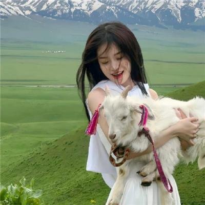 鸟,孤儿和愚人